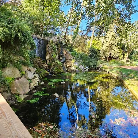 Saint Remy * دْييب